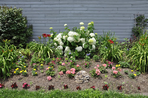Flowers outside the Prairie Moon Museum