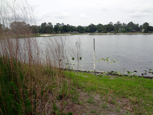 At the lake in Deland, Florida