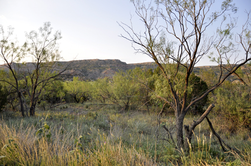 Palo Duro Canyon in Texas