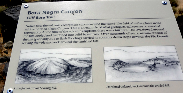 sign about the evolution