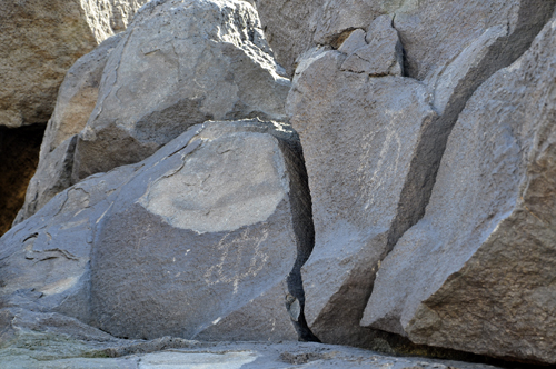 a petroglyphs on a rock atBoca Negra Canyon