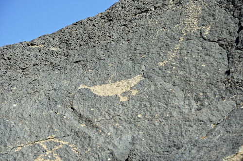 a petroglyphs on a rock atBoca Negra Canyon