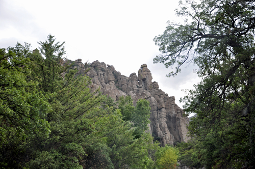 Organ Pipe Formation