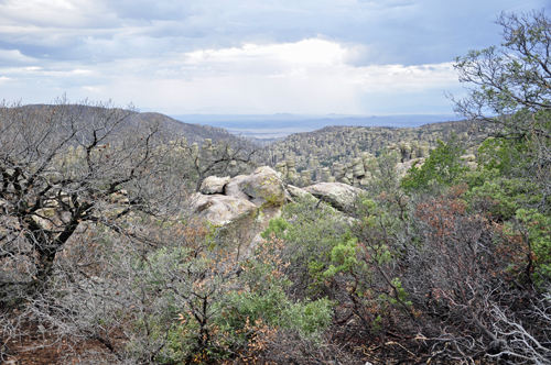 scenery at Chiricahua National Park
