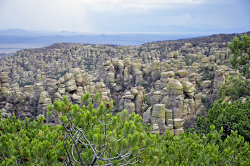Chiricahua National Park