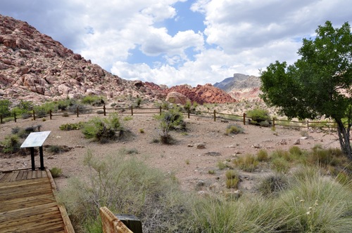 a rocky area at Red Spring
