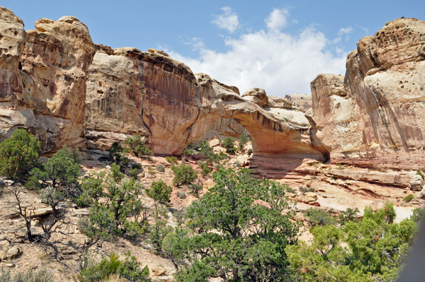 The Hickman Natural Bridge