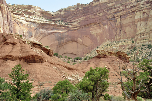 at Capitol Reef National Park