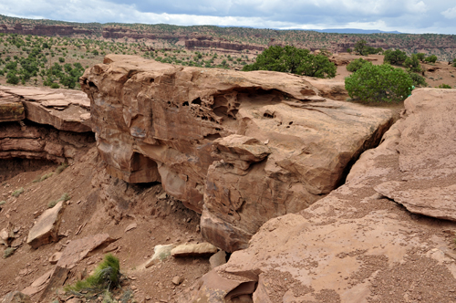 goosenecks point