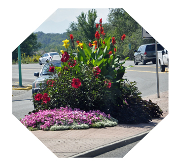 flowers in the ceenter of the road in Delta, Colorad