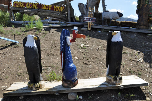 Bald Eagles and a Buzzard