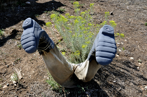 legs in the ground