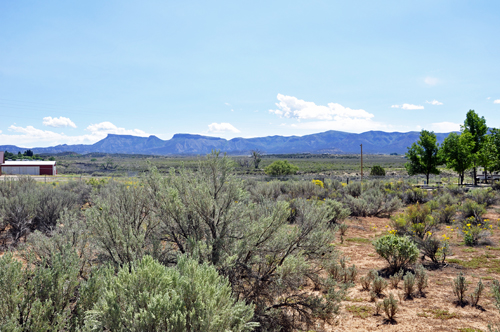 scenery at KOA