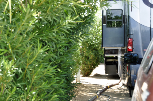 RV almost in the bushes