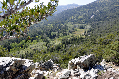 scenery at Mather Overlook at Great Basin National Park