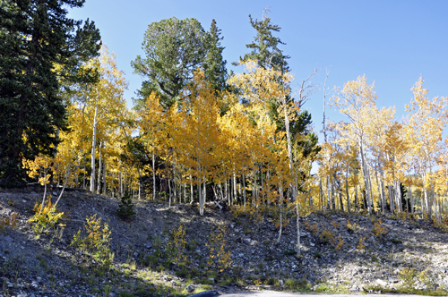 scenery from Summit trailhead - fall foliage