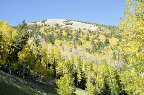 scenery from Summit trailhead - fall foliage