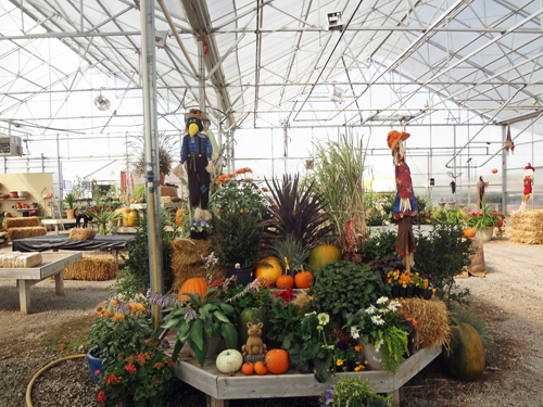 Halloween display at McCoard's Garden Center