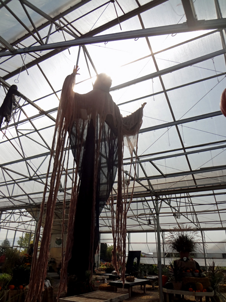 Halloween at McCoard's Garden Center