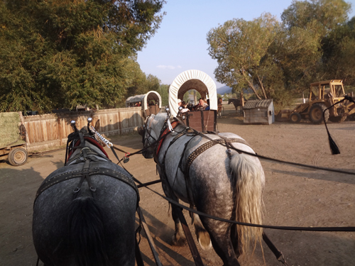 The first covered wagon getting ready to lead the pack