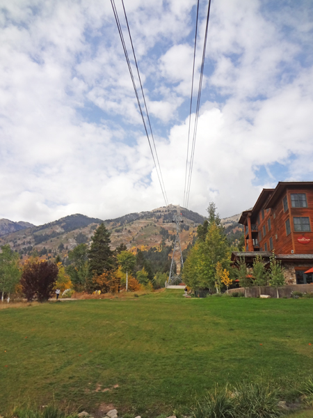 at the bottom of Jackson Hole Mountain