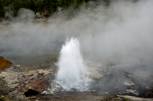 Artesia Geyser 