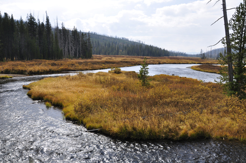 View from the other side of the bridge at Lewis Falls