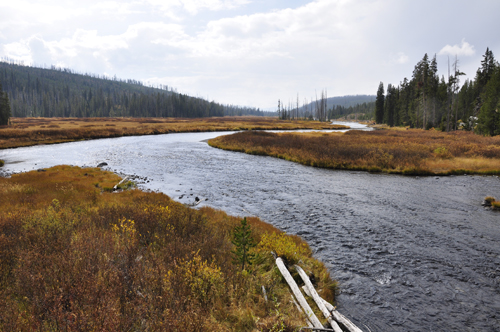 View from the other side of the bridge at Lewis Falls