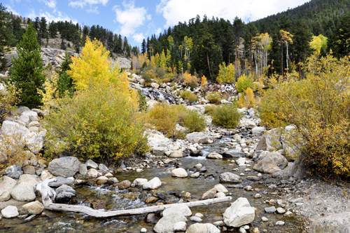 waterfall and fall foliage at Rocky Mountain National Park