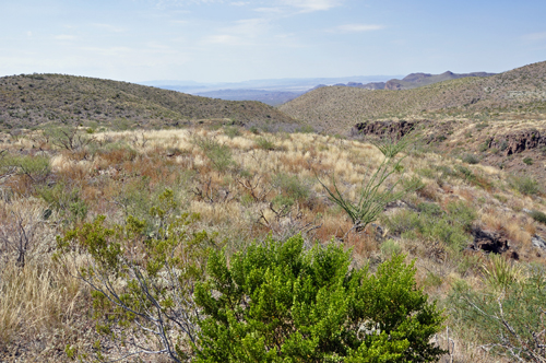 painted hills in Big Bend National Park