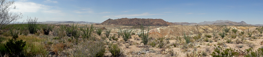 The dry stream bed in the canyon floor