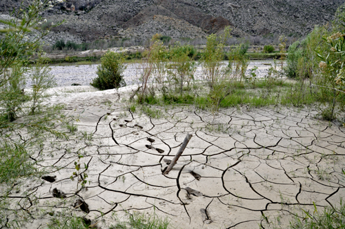 area of soft, cracked mud