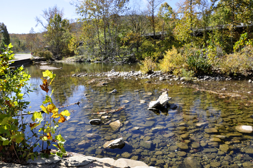 clear, clean water in the Buffalo River
