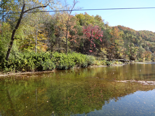 beautiful fall foliage by the Buffalo River