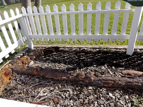 the 16th Century Anchor