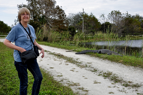 Monica and a big alligator at Loxahatchee National Wildlife Refuge