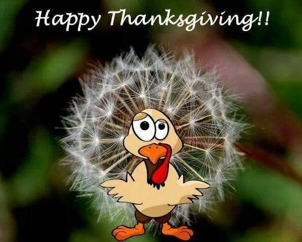 Happy Thanksgiving sign