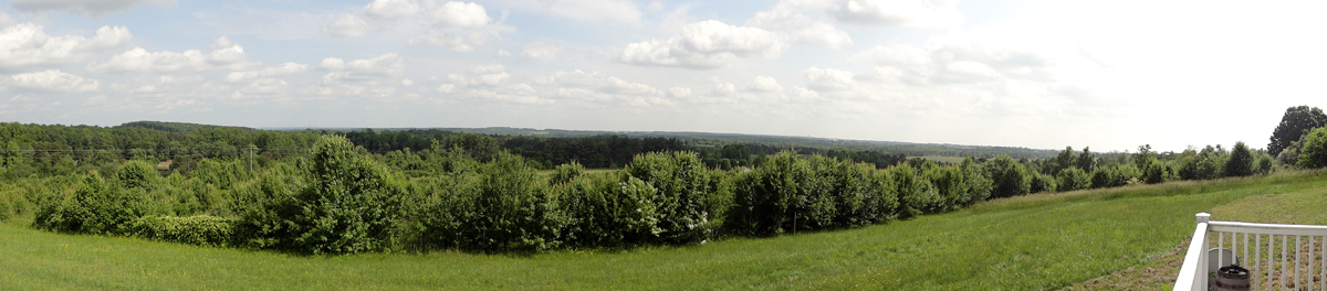 view from the back porch in Gaffney