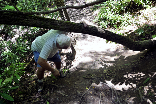 Lee Duquette ducking under a tree branch