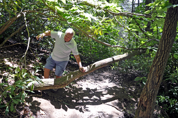 Lee climbing over a tree on the trail