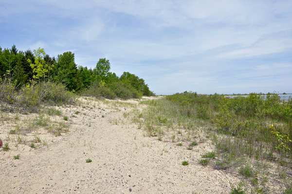 view of Lake Huron by Sturgeon Point Lighthouse