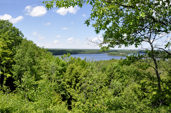 a breathtaking view of the river and forest landscape 