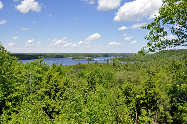 a breathtaking view of the river and forest landscape 