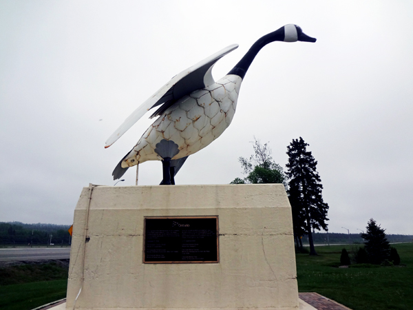 the Wawa Goose