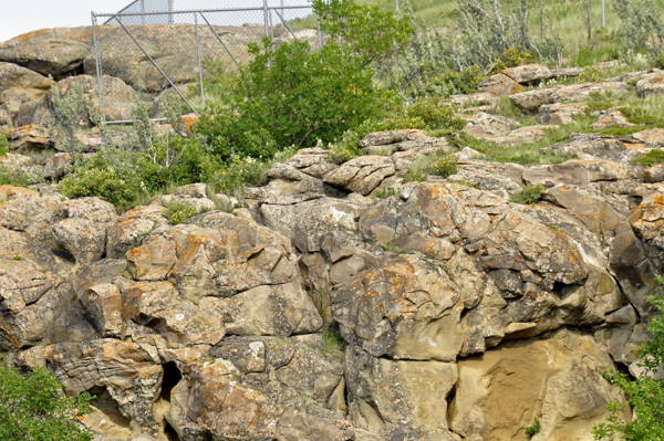 where the petroglyphs are that can't be seen
