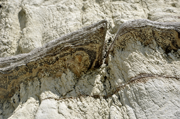 variety of texture and colors in Castle Butte