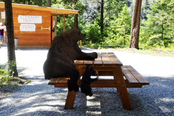 bear and cub at the picnic table