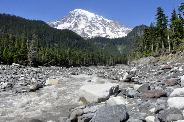 Mount Rainier as seen from the log bridge