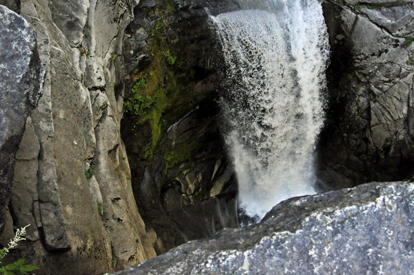 Christine Falls