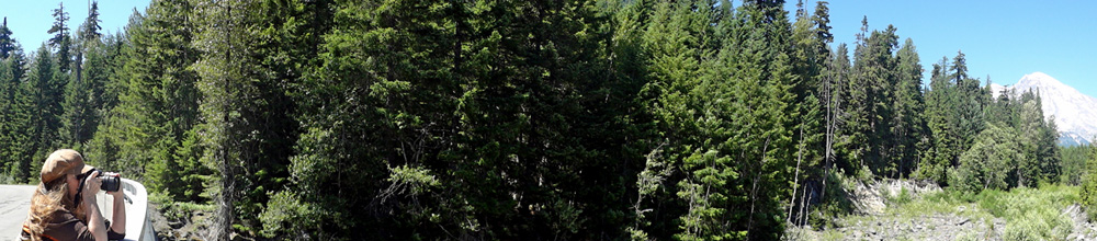 Panaorama of Karen Duquette photographng Mt. Rainier